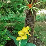 House W Little Tropical Garden Appartement