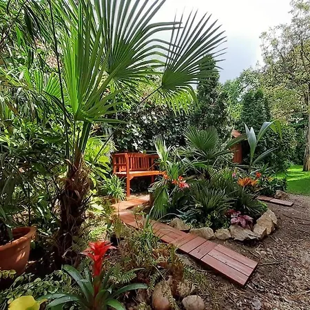 Apartment House W Little Tropical Garden Budapest
