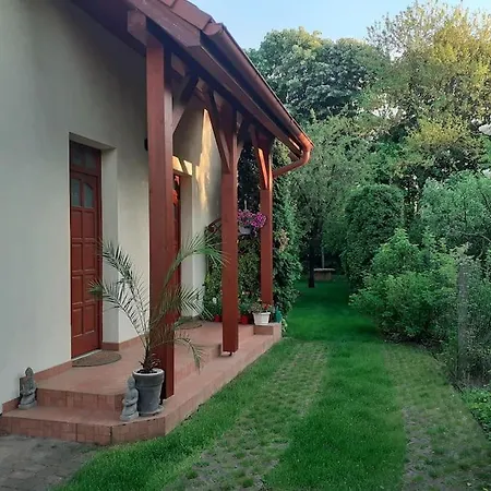 Apartment House W Little Tropical Garden