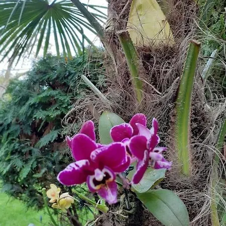 House W Little Tropical Garden Apartment Budapest