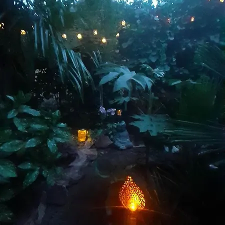 House W Little Tropical Garden Apartment