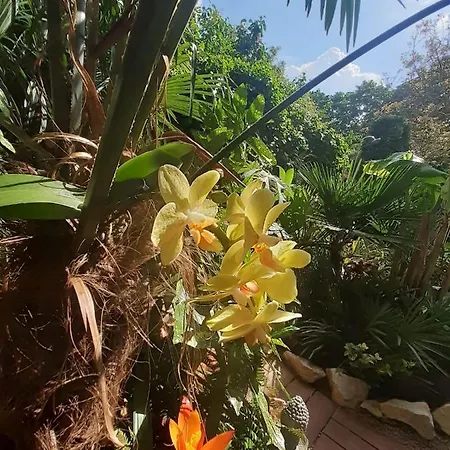 Apartment House W Little Tropical Garden *