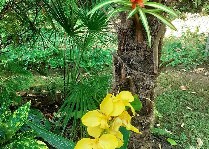 House W Little Tropical Garden דירה