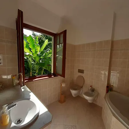 House W Little Tropical Garden Budapest