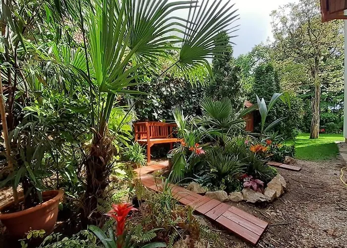 公寓 House W Little Tropical Garden 布达佩斯