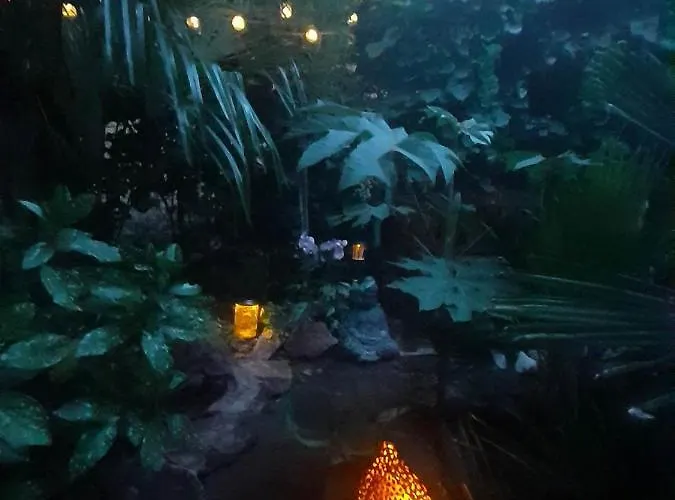 House W Little Tropical Garden 公寓