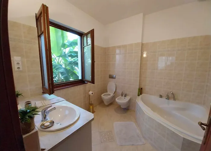 House W Little Tropical Garden * 布达佩斯