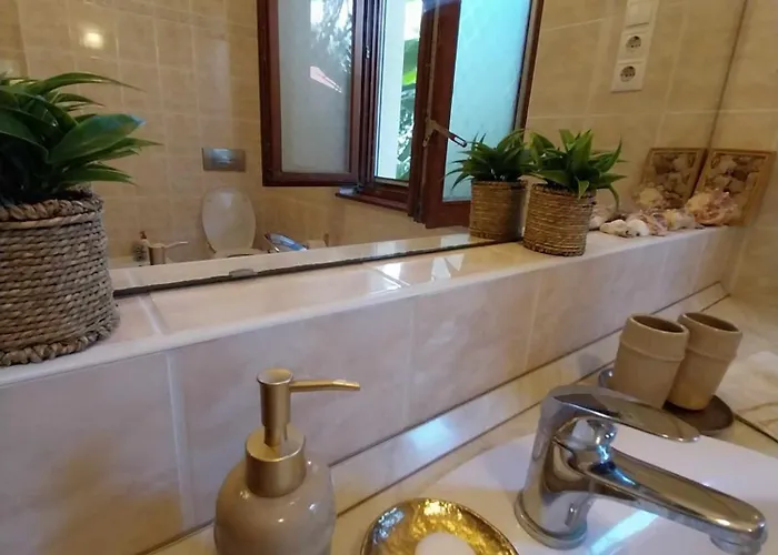 House W Little Tropical Garden *