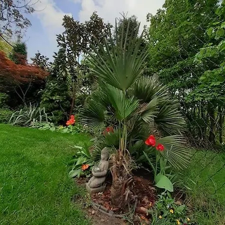 House W Little Tropical Garden