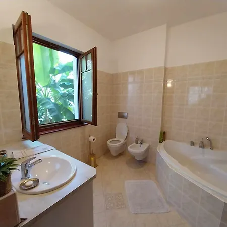 House W Little Tropical Garden * Budapeste