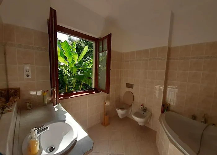 House W Little Tropical Garden Budapest